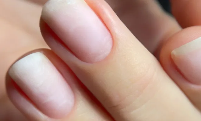 Inscription Formation Ouvertes , Nice, KRISTY DEIANU